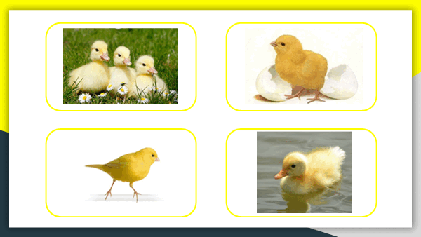 05002fv1-26d0-600x338.png