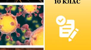 Біологія 10 клас. Збірник завдань для кожної теми
