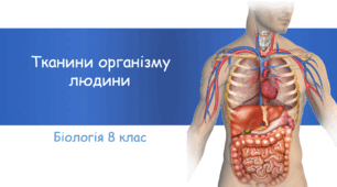 Презентація "Тканини організму людини"