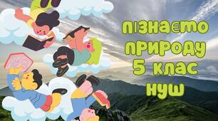 Скільки є речовин, 5 клас, НУШ