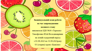 Індивідуальний план роботи на час запровадження  воєнного стану на серпень місяць в старшій групі