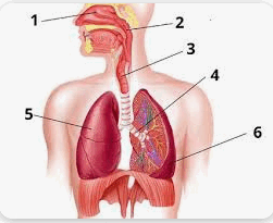 05002lpx-5d8a-251x205.png