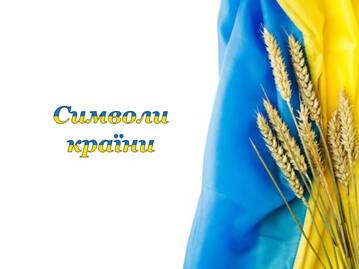 05002m0r-d863-359x269.jpg