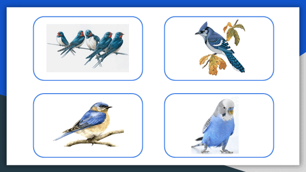 05002mau-5a91-600x338.png