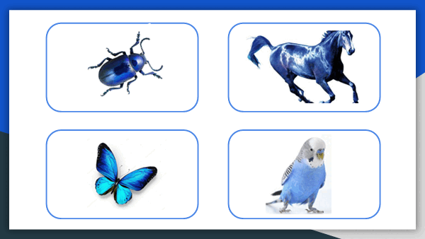 05002max-52a1-600x338.png