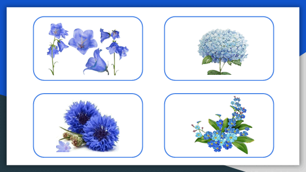 05002mb2-7dd7-600x338.png