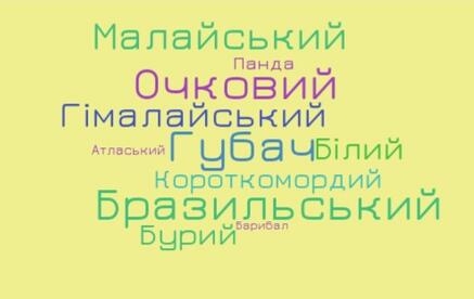05002n6n-ed41-495x312.jpg