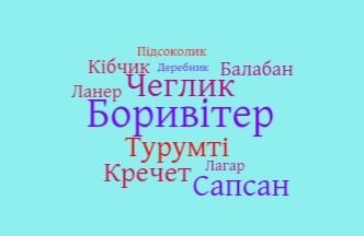 05002nlx-09c4-332x217.jpg