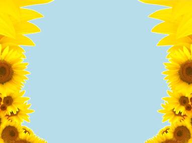 05002oc4-1e01-382x286.jpg