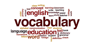 1B Vocabulary and Grammar 