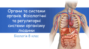 Презентація "Органи та системи органів. Фізіологічні та регуляторні системи організму людини""