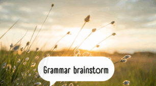 NMT Grammar brainstorm (Nouns, Quantifiers, Articles, Order of adjectives, Adverbs etc)