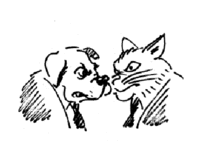 05002rb2-bcf4-221x154.png