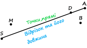 Точки, прямі, відрізок та його довжина тест