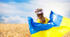 Перший урок 2023/2024 н.р. : «Я люблю свою країну»