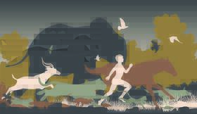Біорізноманяття в Україні: що це таке, чому воно важливе та як зберегти | ЕкоПолітика