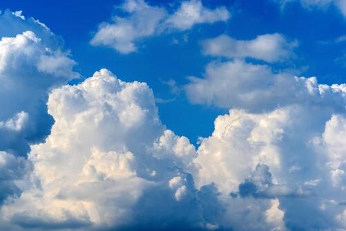 05002wvy-5302-501x334.jpg