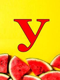 05002xd4-c627-205x273.jpg