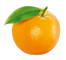 05002yyg-8776-756x695.png