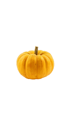 05002yzf-9639-940x1410.png