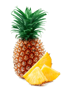 05002z1y-6362-690x946.png