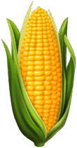 05002z1z-5e0c-940x1799.png