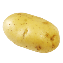05002z34-2f5b-940x940.png