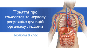 Презентація "Поняття про гомеостаз та нервову регуляцію функції організму людини"
