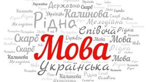 Діагностична робота "Текст"