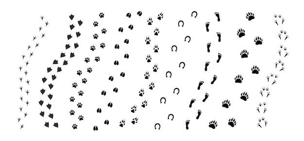 Vector set of different animals footprint paths isolated on white background