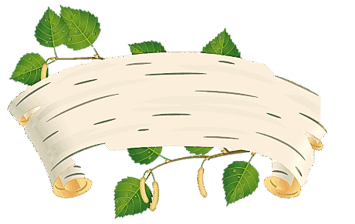 0500317b-e7b5-355x224.png