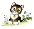 050031t6-c92e-141x118.png