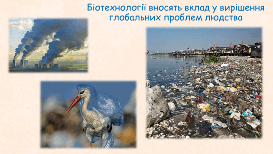 05003247-31d6-940x529.png