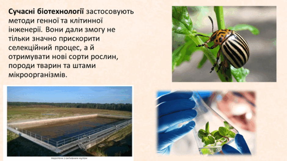 0500324b-99a0-940x529.png
