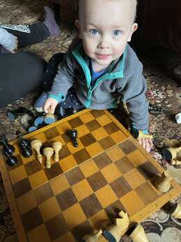 0500334q-5626-260x347.jpg