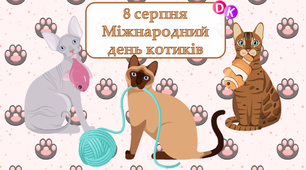 Консультація "8 серпня - Міжнародний день котиків"