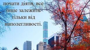 Цитата дня