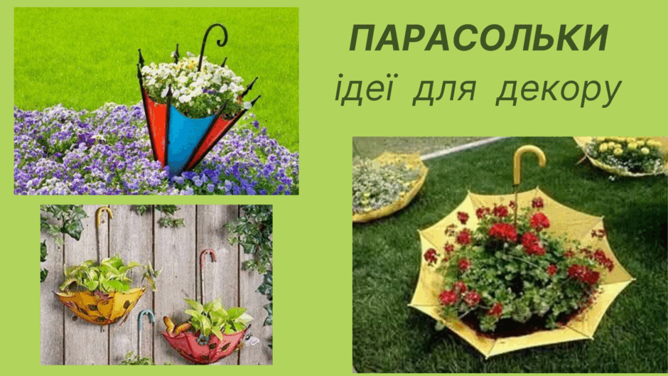050034zo-1e07-940x529.png