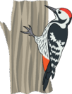 0500354a-912a-102x133.png