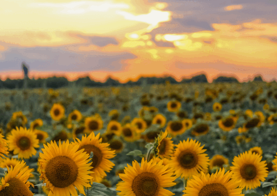0500359f-5562-940x665.png