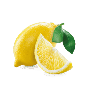 050035ew-7611-293x293.png