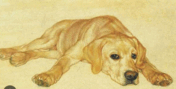 0500382z-9828-176x89.png