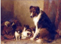 05003842-5abc-122x88.png