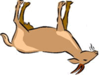 050038j2-b9ee-141x107.png