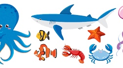 Sea creatures 