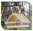 050039sg-5d75-146x137.png