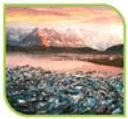 050039t0-f0af-160x149.png