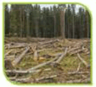 050039t6-da49-165x150.png