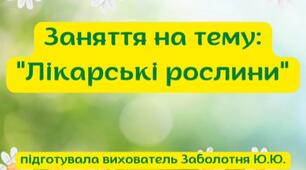 Заняття на тему "Лікарські рослини"