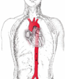 05003buv-2aed-95x115.png